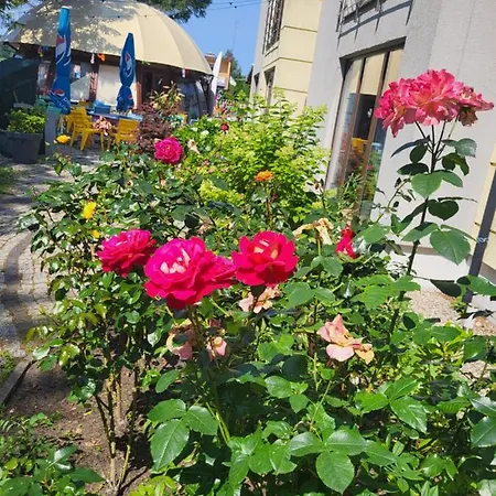 Affittacamere Opal Grzybowo (West Pomeranian)