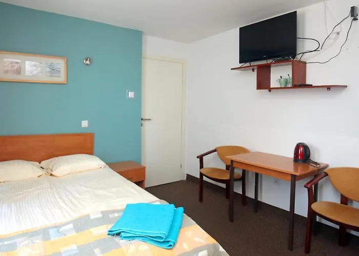 Opal Грзибово