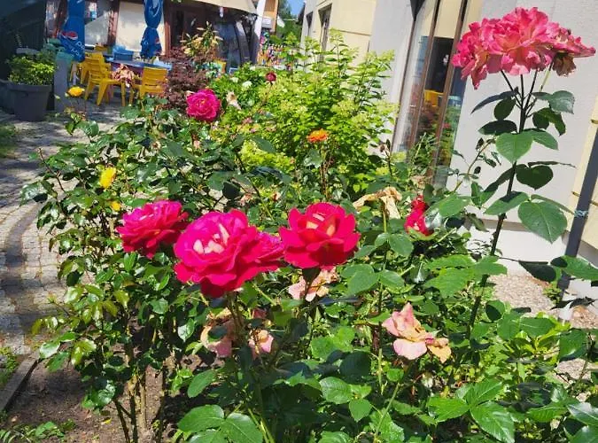 Гостевой дом Opal Грзибово